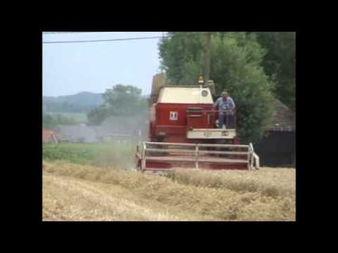 Decrock: Maaidorsen.