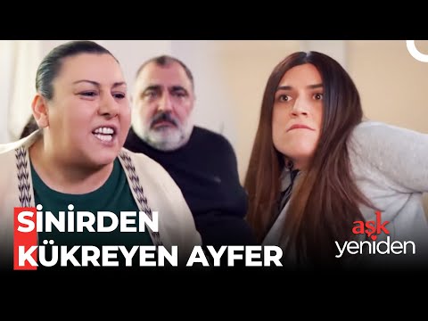 Şaziment Ayfer'i Deli Ediyor - Aşk Yeniden Özel Sahneler