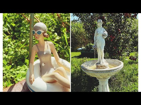 Kreative WASSERSTELLEN im Rosengarten- Teichalternativen - Rose: Lichtkönigin Lucia