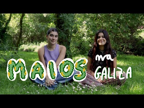 Vídeo: Os maios