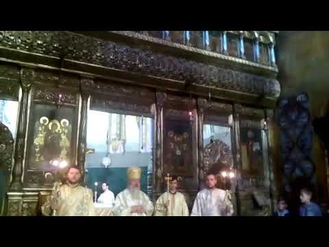 IPS ANDREI ANDREICUT