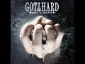 Gotthard - Right from wrong