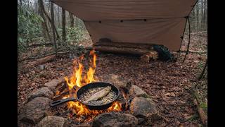 A Full Day in the Woods | Fish, Fire, Bushcraft Bench, and a Quiet Camp | ASMR