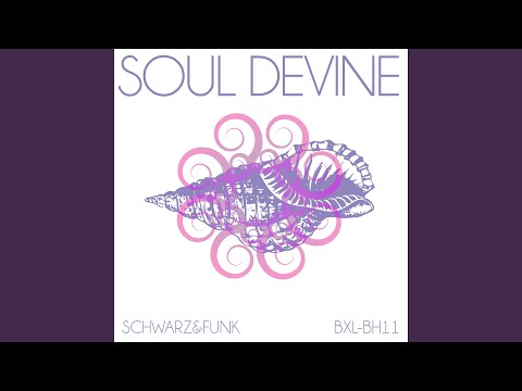 Soul Devine (Beach House Mix Radio Cut)