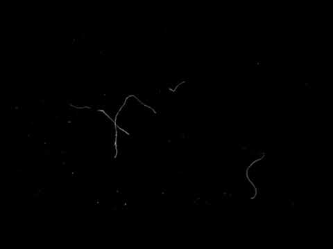 wavyzien feat. dekus "PLANETA" prod. adimajer & pisar