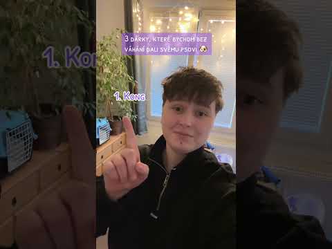 TOP 3 dárky pro psa 😎🎁