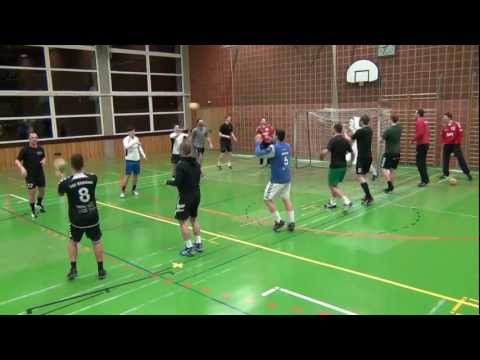 TSV Rödelsee goes HARLEM SHAKE