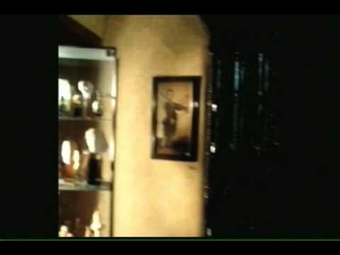 Laura Brandt Freud Museum