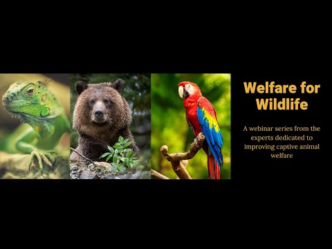 The Primate Pet Trade - Welfare For Wildlife Webinar