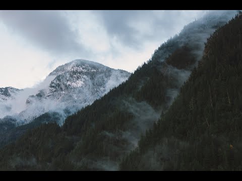 Cimmerian Shaft - Biosphere & Higher Intelligence Agency