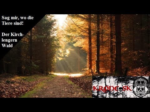 Sag mir, wo die Tiere sind! Der Kirchlengern Wald - #Kronologie