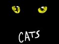 Cats (The Musical) - 17 - Skimbleshanks the railway cat