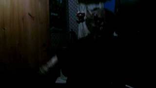 johnny poo poo pants