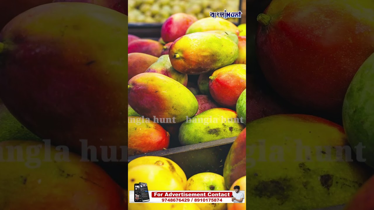 ফ্রিজ ছাড়াই আম থাকবে টাটকা! জেনে নিন সংরক্ষণের সহজ ঘরোয়া কয়েকটি উপায় !