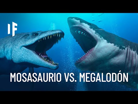 What would happen if the megalodon faced the mosasaur?