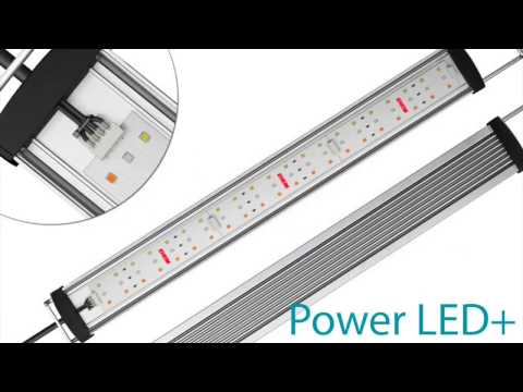 Watch Video on YouTube