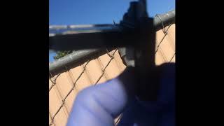 Toyota Tundra 2011 MAF Sensor Cleaning