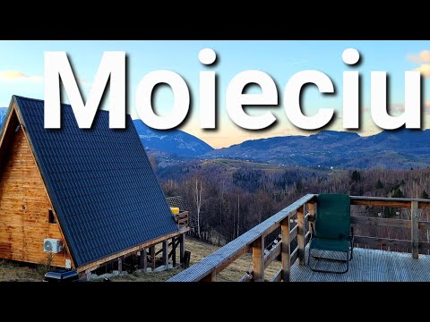 Cabin 365 in the lower Moieciu - Brasov #brasov