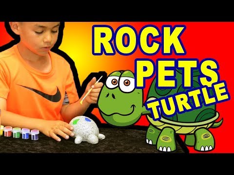 I love turtles!  Rock Pets Turtle - Painting with Connor Toy Reviews and Unboxing.