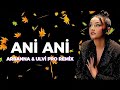 Arbanna Ani Ani Ulvi Pro Remix 2025 Arbanna Music