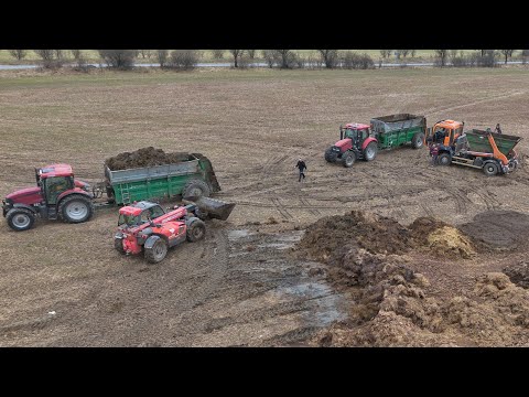 Fertilization 2024 [ 3x Case IH, Man, Samson, Meprozet & Manitou ] Manure spreading manure transport
