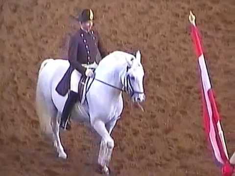 Spanish Riding School of Vienna, Morgen Arbeit