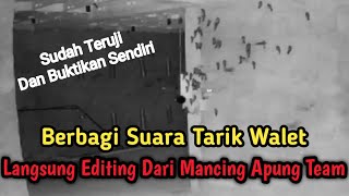 Download lagu Gratis!!! Suara Tarik Walet ini Yang Anda Cari Cari Selama Ini mp3 Download lagu Gratis!!! Suara Tarik Walet ini Yang Anda Cari Cari Selama Ini mp3
