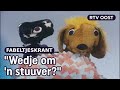 Fabeltjeskrant in 't plat: De redding van hondje Woef en Gretha | RTV Oost