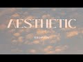Aesthetic  - Tollan Kim | 10HourBGM