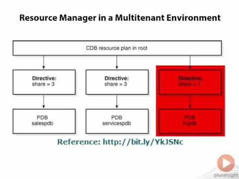 0413 Resource Manager in a Multitenant Environment