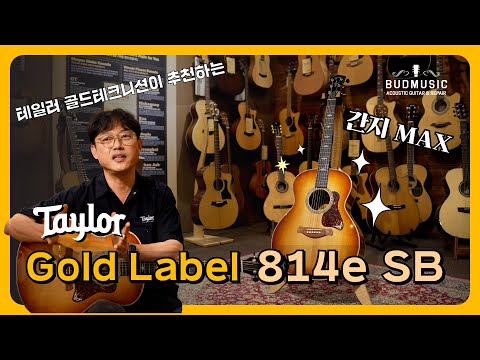테일러 골드라벨 814e SB