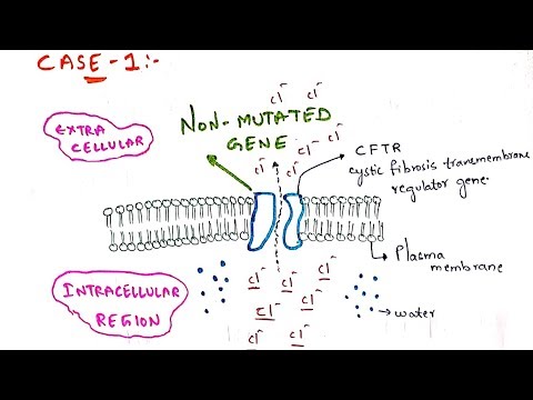 POINT MUTATION BY PHANINDRA GUPTHA