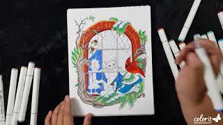 Freebie Friday by ColorIt (Free Adult Coloring Pages) - Winter Cat Coloring Time-lapse