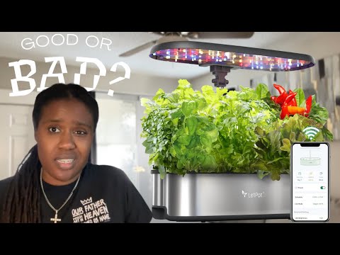 LetPot Hydroponics Review 2026 | Honest Setup, Growth Results & Pros/Cons (Worth It?)