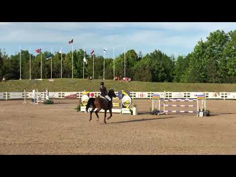 Calvin D’Or (Coupe D’Or x Bacardi) AOCT 2020 Ist stage Diamond Tour