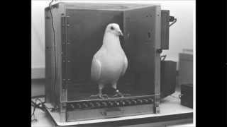 death in vegas (scorpio rising)- 23 lies