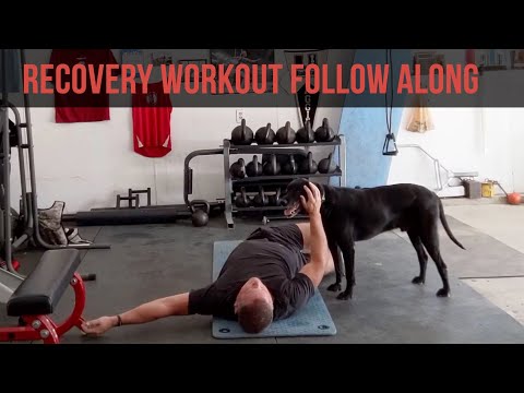35 Minute Recovery Follow Along Workout