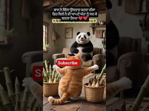 #cats #funnycats #funnymoments #shotsvideo #subscribetomychannel