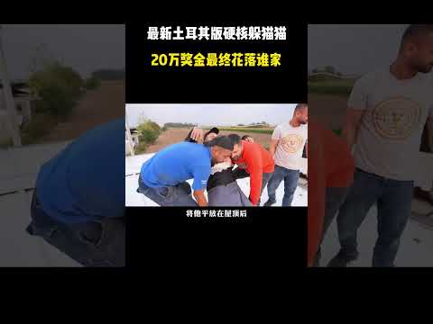 最新土耳其版硬核躲猫猫，20万奖金最终花落谁家 #综艺解说 #综艺 #网红