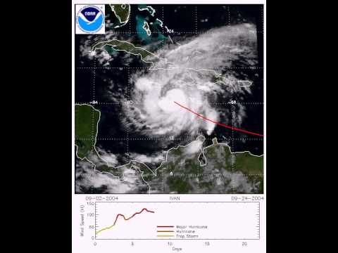 カテゴリー2のハリケーン