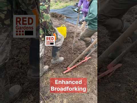 Advanced Broadfork Cultivation: Better Soil, Bigger Yields