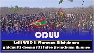 Download lagu Oduu Hatattama : January 6,2022 Lola WBO fi Waraana Biltsiginnaa mp3