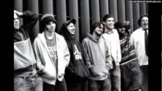 i pissed in your mountain dew - demo version