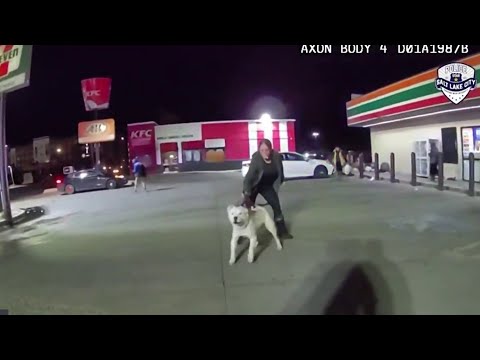 Perro sacrificado después de recibir un disparo de un oficial de policía al que había mordido