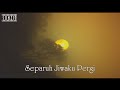 Anang Hermansyah - Separuh Jiwaku Pergi (Karaoke Version) No Vocal #sunziq