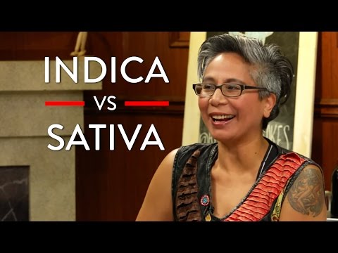 Different Types Of Marijuana (Indica, Sativa, CBD) (Pt. 1) | Angel Teger | POLITICS | Rubin Report