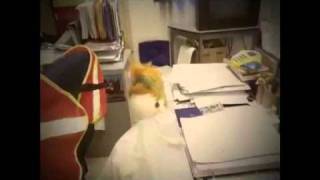 Somi loves you, Amy.