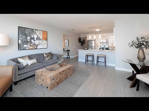 Tour a South Loop 1-bedroom model at 1001 South State