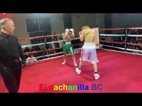 Box profesional Erick Gutiérrez VS Antonio Hernández