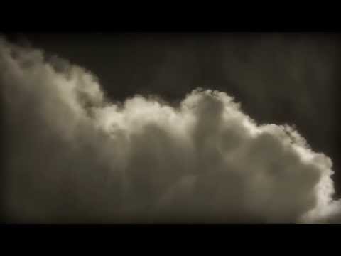 Hrozně - HROZNĚ - Švestky